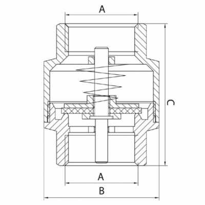FERRO Zawór zwrotny 1 cal z mosiężnym elementem zamykającym