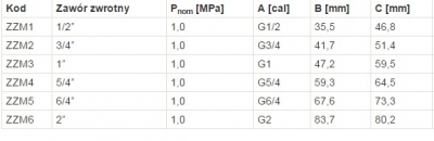 FERRO Zawór zwrotny 1/2 cala z mosiężnym elementem zamykającym